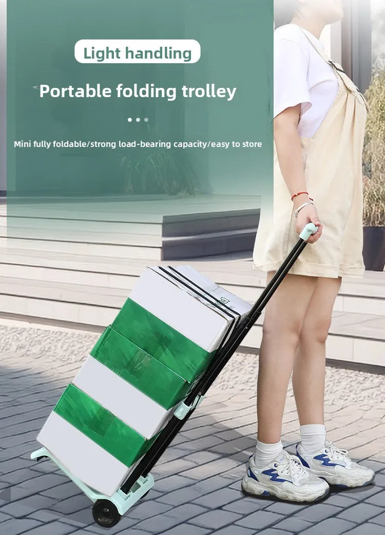 Exquisite Household small cart folding pull goods handling trailer shopping cart luggage trolley